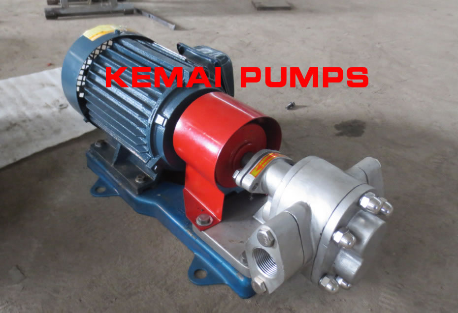 stainless steel gear pump