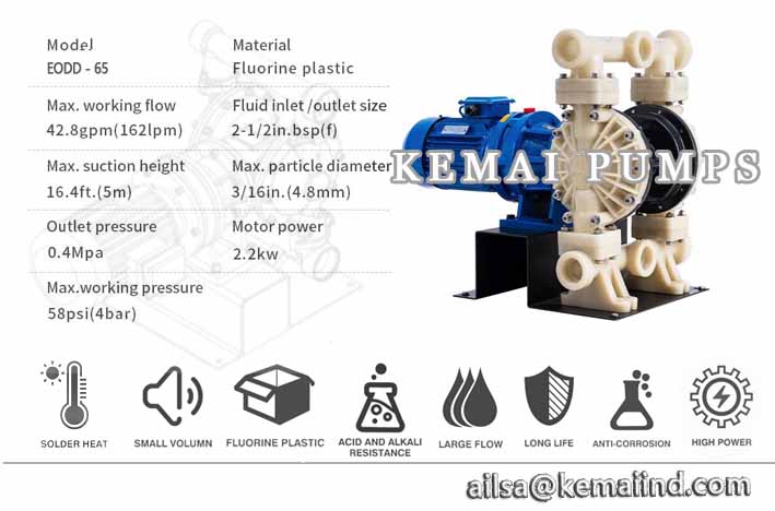 EODD Electric double diaphragm pump-PVDF-65