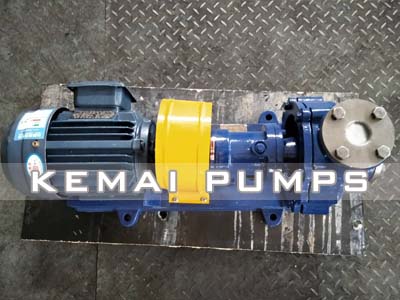 RY heat conduction oil pumps