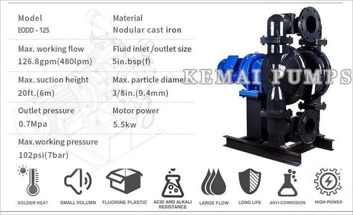 EODD-125-5“ Electric Operated Double Diaphragm Pump